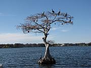 Winter Park Scenic Boat Tour